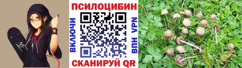 Псилоцибиновые грибы мицелий  Волосово 